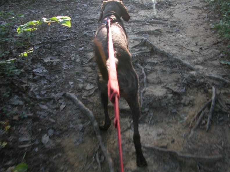DSCN7176.JPG