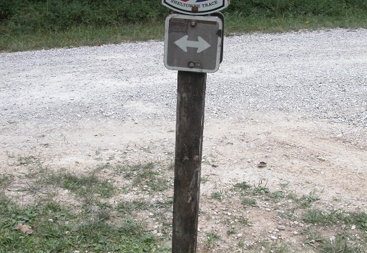DSCN5471