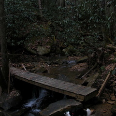 DSCN1601