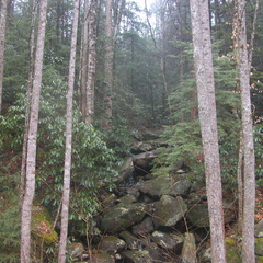 DSCN1619