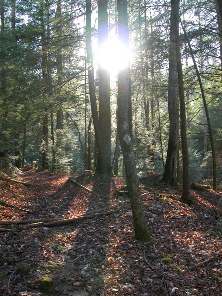 DSCN2282 (2678 visits) DSCN2282