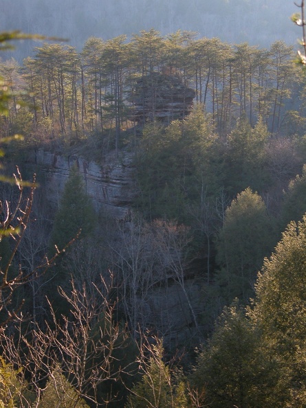 DSCN2316 (2569 visits) DSCN2316