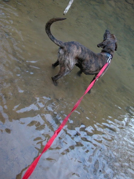 DSCN2333 (2539 visits) DSCN2333