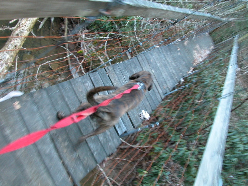 DSCN2337 (2612 visits) DSCN2337