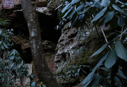 05 March 26: Sheltowee Trace south of I75 to Hawk's Creek Bridge