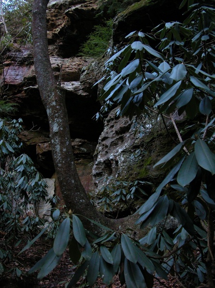 DSCN2342 (2721 visits) DSCN2342