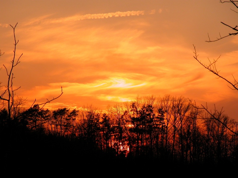 DSCN2353 (2722 visits) DSCN2353