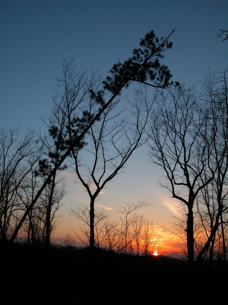 DSCN2355 (2552 visits) DSCN2355