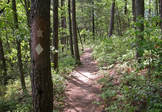 04 May 18: Sheltowee Trace, Powell County, Kentucky