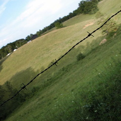Barbed Wire Field in Arvel