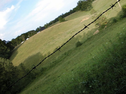 Barbed Wire Field in Arvel