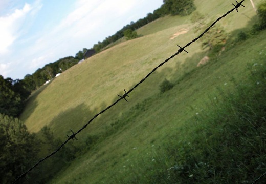 Barbed Wire Field in Arvel