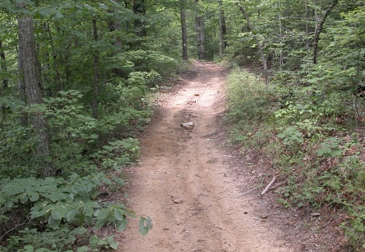 Sheltowee Quadtrack 