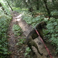 Singletrack above Turkey Foot Complex