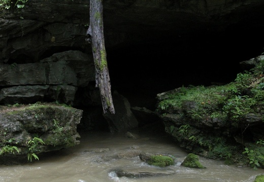 Resurgence Cave