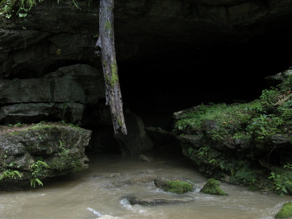 Resurgence Cave