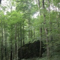 Above War Fork