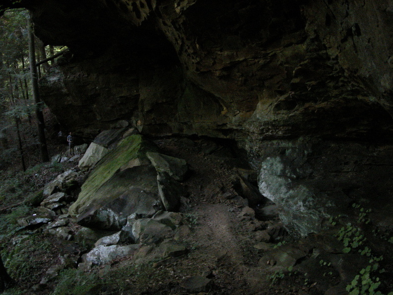 Above War Fork