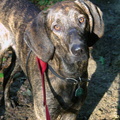 DSCN7648.JPG
