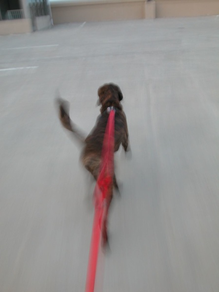 DSCN5670.JPG