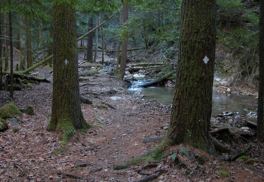 05 February 26: Red River Gorge