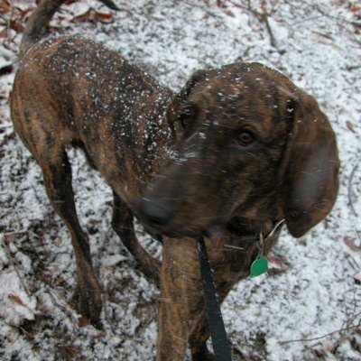 Indian Fort Mountain February 7, 2004