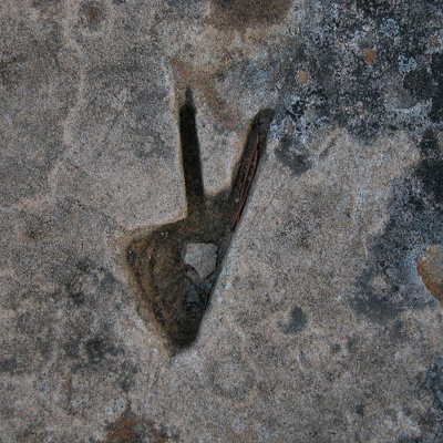 A Winter Day, Feb. 22, 2004