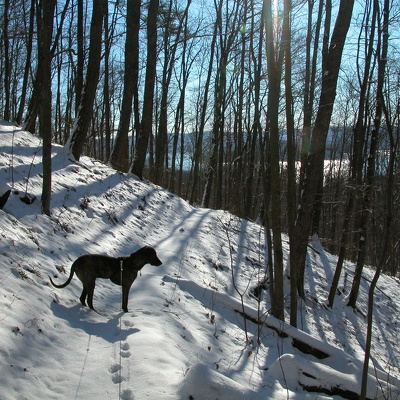 Cave Run's Lake View Trail January 10, 2004