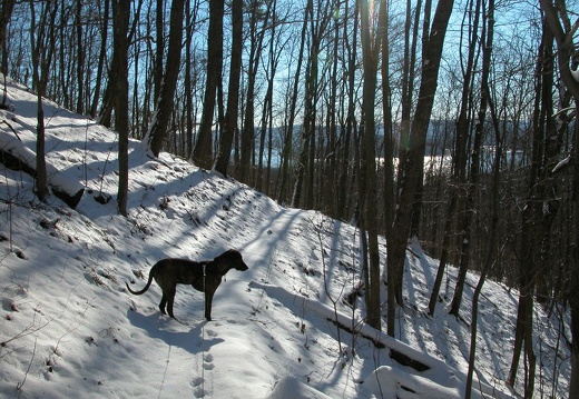 Cave Run's Lake View Trail January 10, 2004