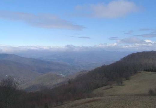 Purchase Knob webcam in North Carolina