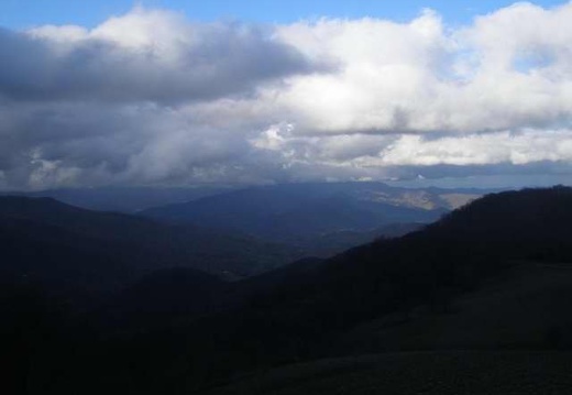 PurchaseKnob-Evening