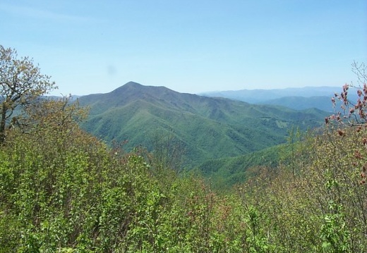 Clear Skies in the Great Smokies