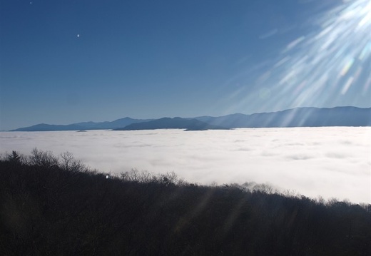 Fog in Cades Cove