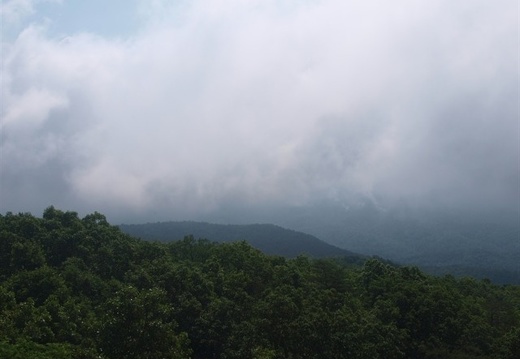 Low clouds in the Smokies