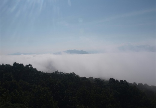 Morning fog rises