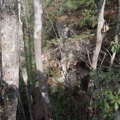 Hidden Arch