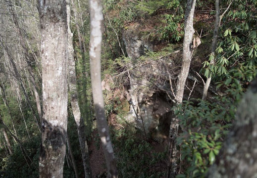 Hidden Arch