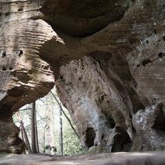 Hidden Arch