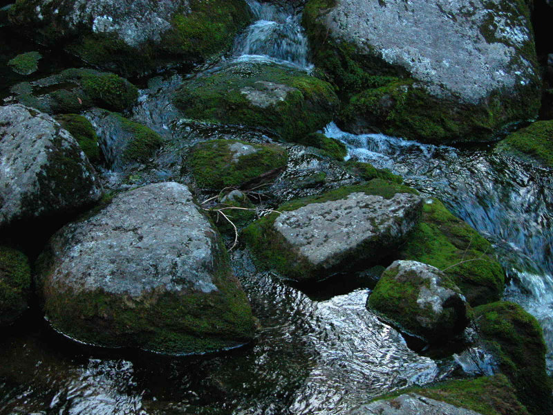 Parapet Brook