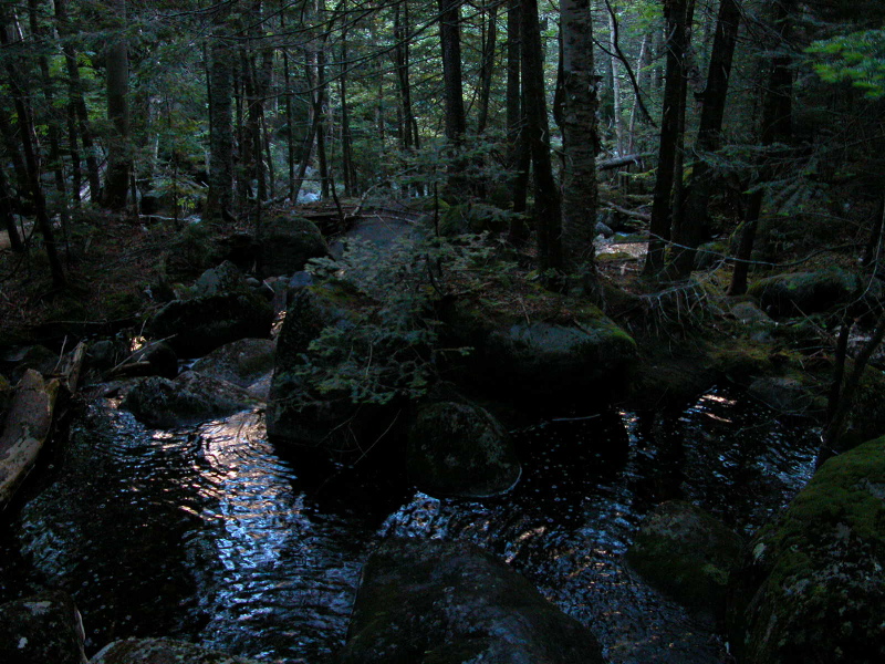 Parapet Brook