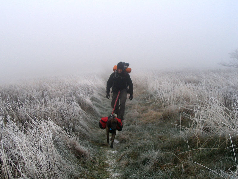 Boyd up to Hump Mountain