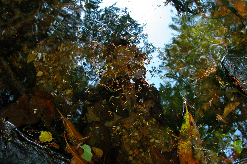Photographer's reflection in pool. Laurel Fork Creek.
