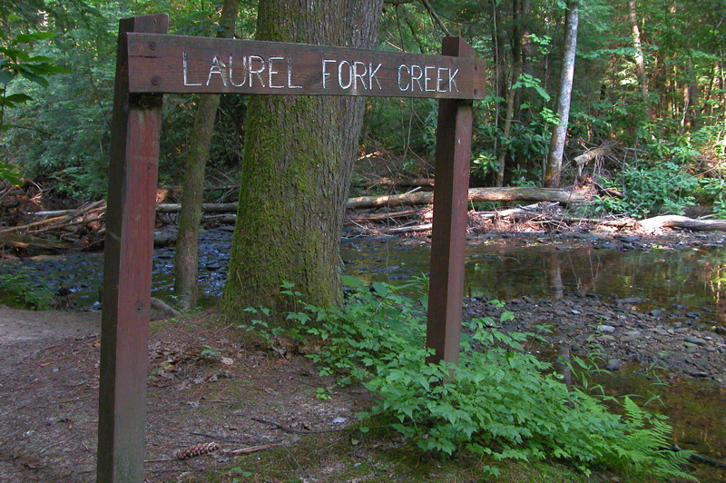 One of many crossings. Laurel Fork Creek.