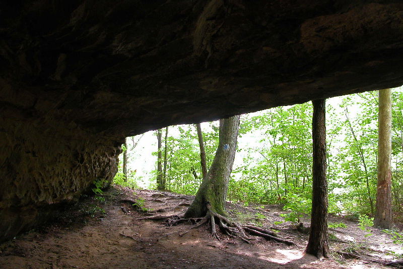 A nook of shady relief below Angel Falls Overlook. 