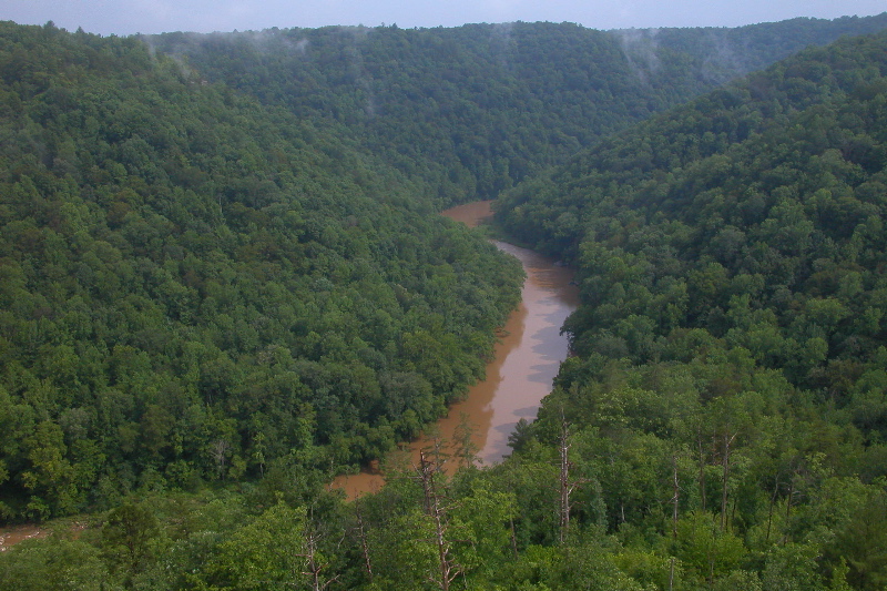 Angel Falls Overlook (south point, not the true overlook of rapids). 