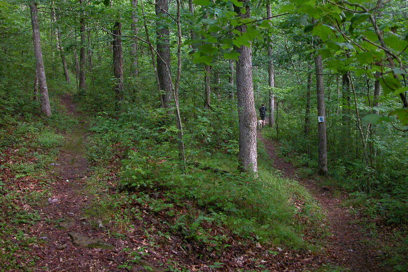 Switchback on Grand Gap Loop. 