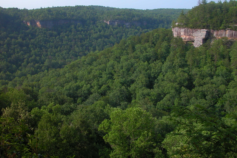 River overlook.