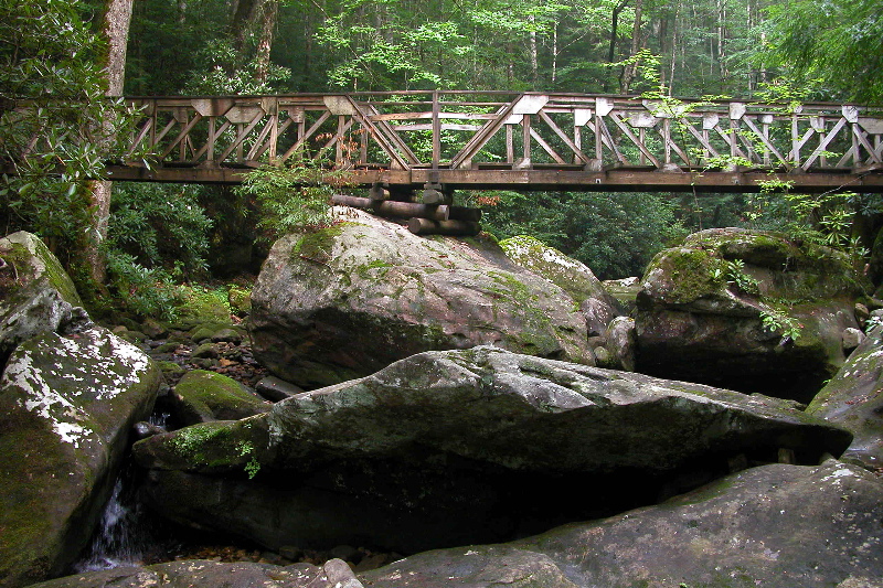 Fall Branch footbridge. 