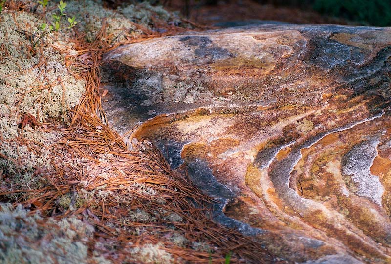 Trail margin in sunset