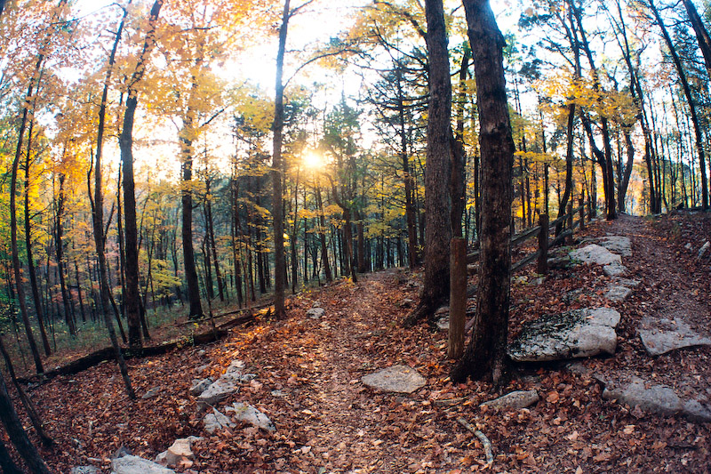 Switchback in Limestone